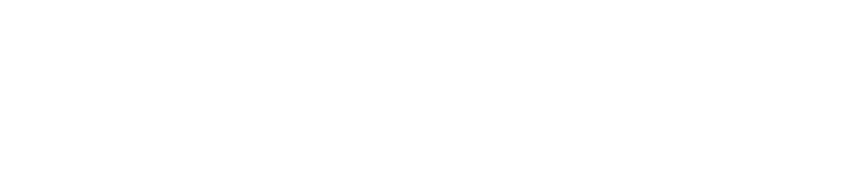 ADEGERMEX